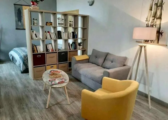 Le Cozy Center Wi-fi Prest'immo *