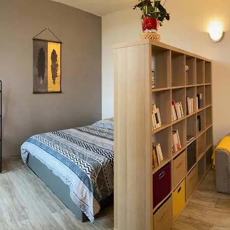 Apartment Le Cozy Center Wi-fi Prest'immo *